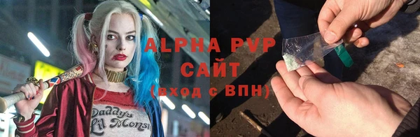 стафф Новокубанск