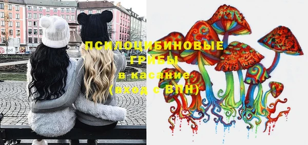 спиды Нея