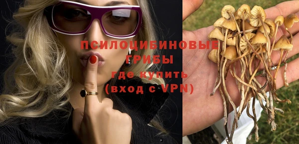 MESCALINE Новозыбков