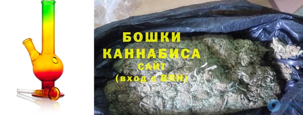 стафф Новокубанск