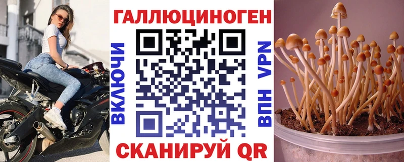 Псилоцибиновые грибы прущие грибы  сколько стоит  Стрежевой 